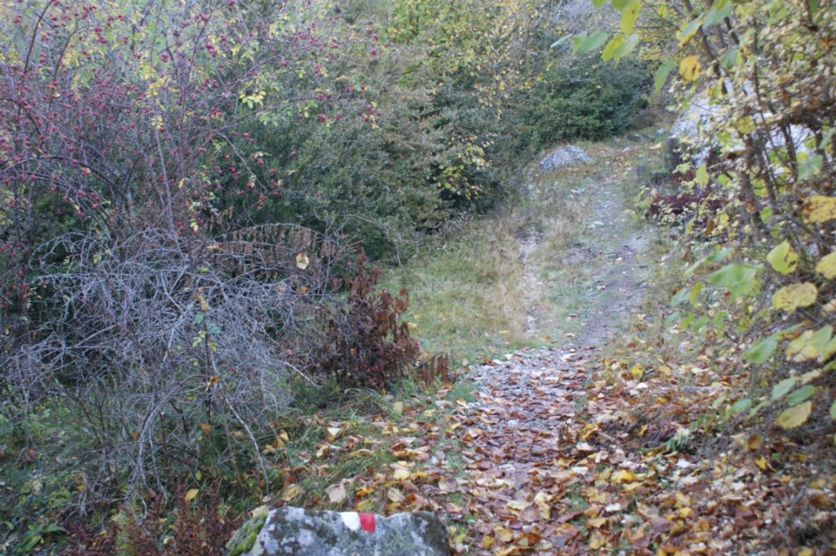 The Madriu-Perafita-Claror Valley