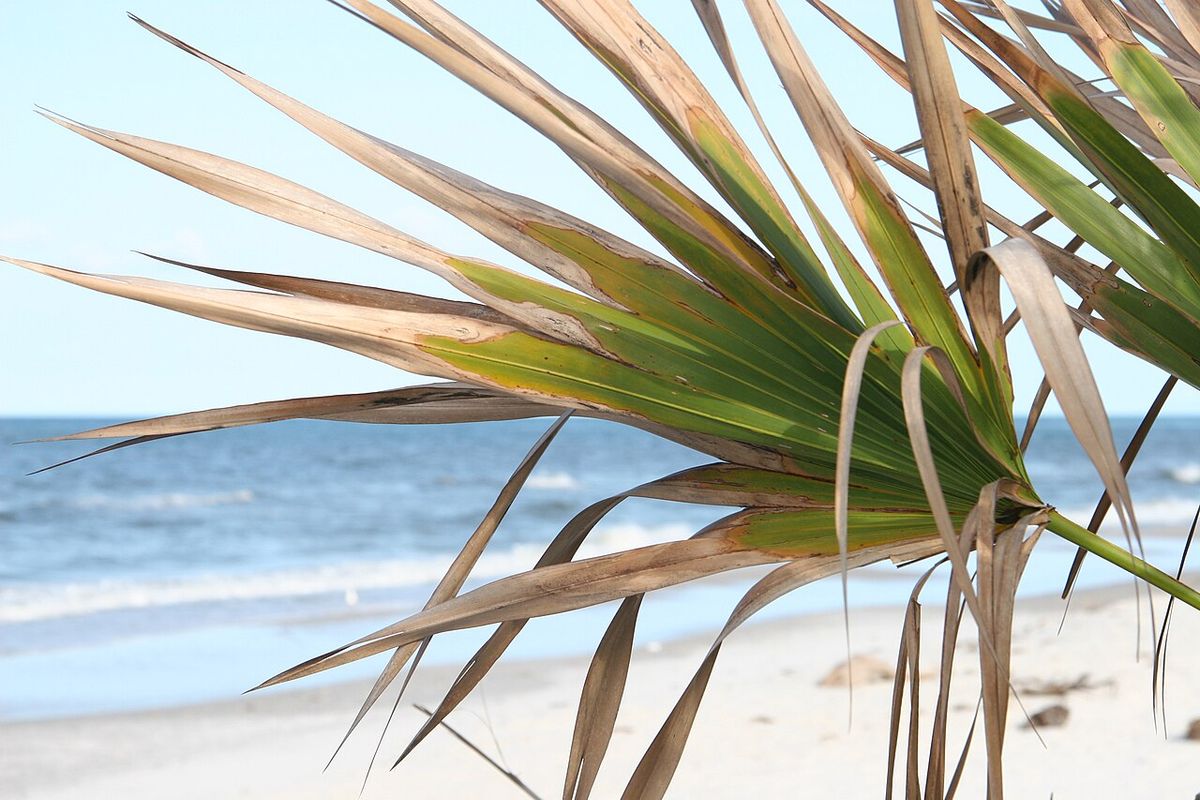 The Southeast Peninsula Beaches