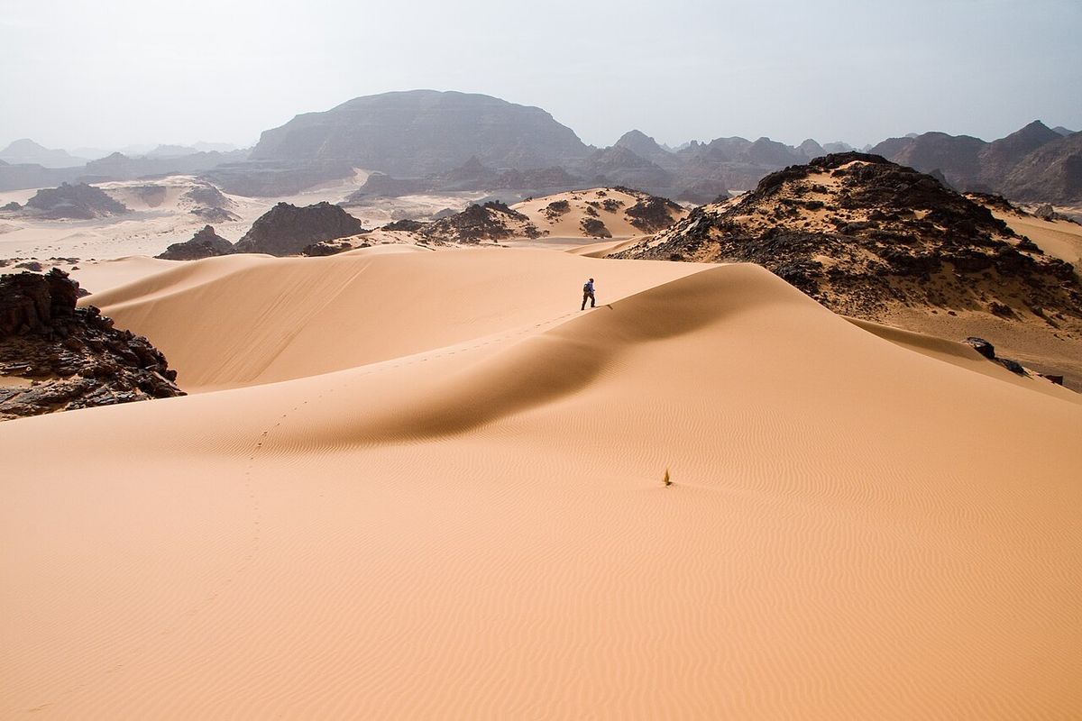 The Saharan Dunes